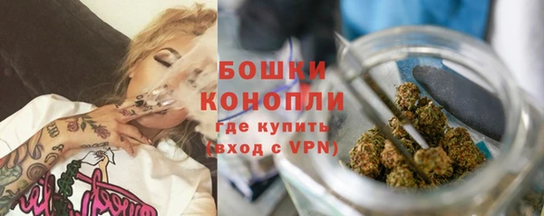 стаф Бородино
