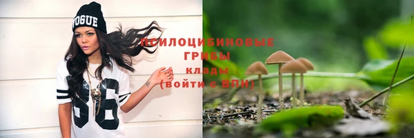 стаф Бородино