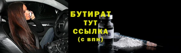 стаф Бородино