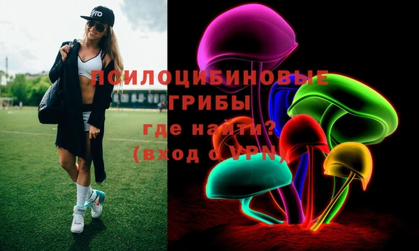 стаф Бородино