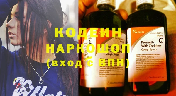 стаф Бородино