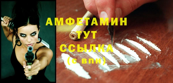 стаф Бородино
