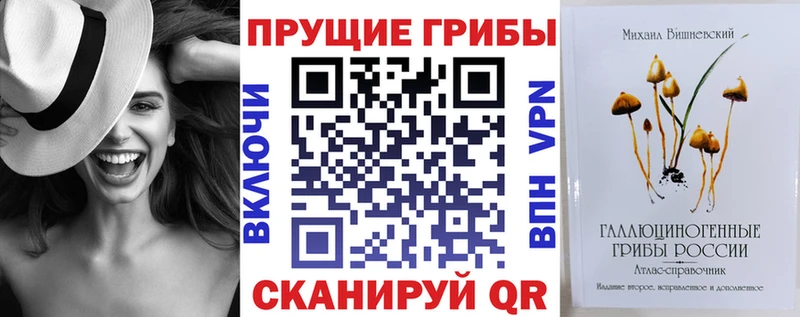 Галлюциногенные грибы ЛСД OMG рабочий сайт Кизилюрт